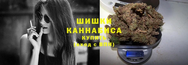 бошки Алексин