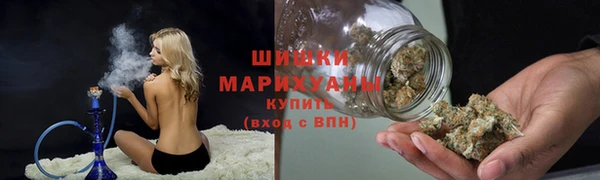 бошки Алексин