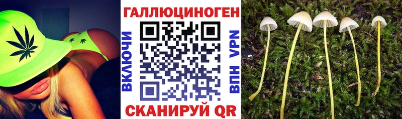 площадка какой сайт  Ликино-Дулёво  Псилоцибиновые грибы MAGIC MUSHROOMS 